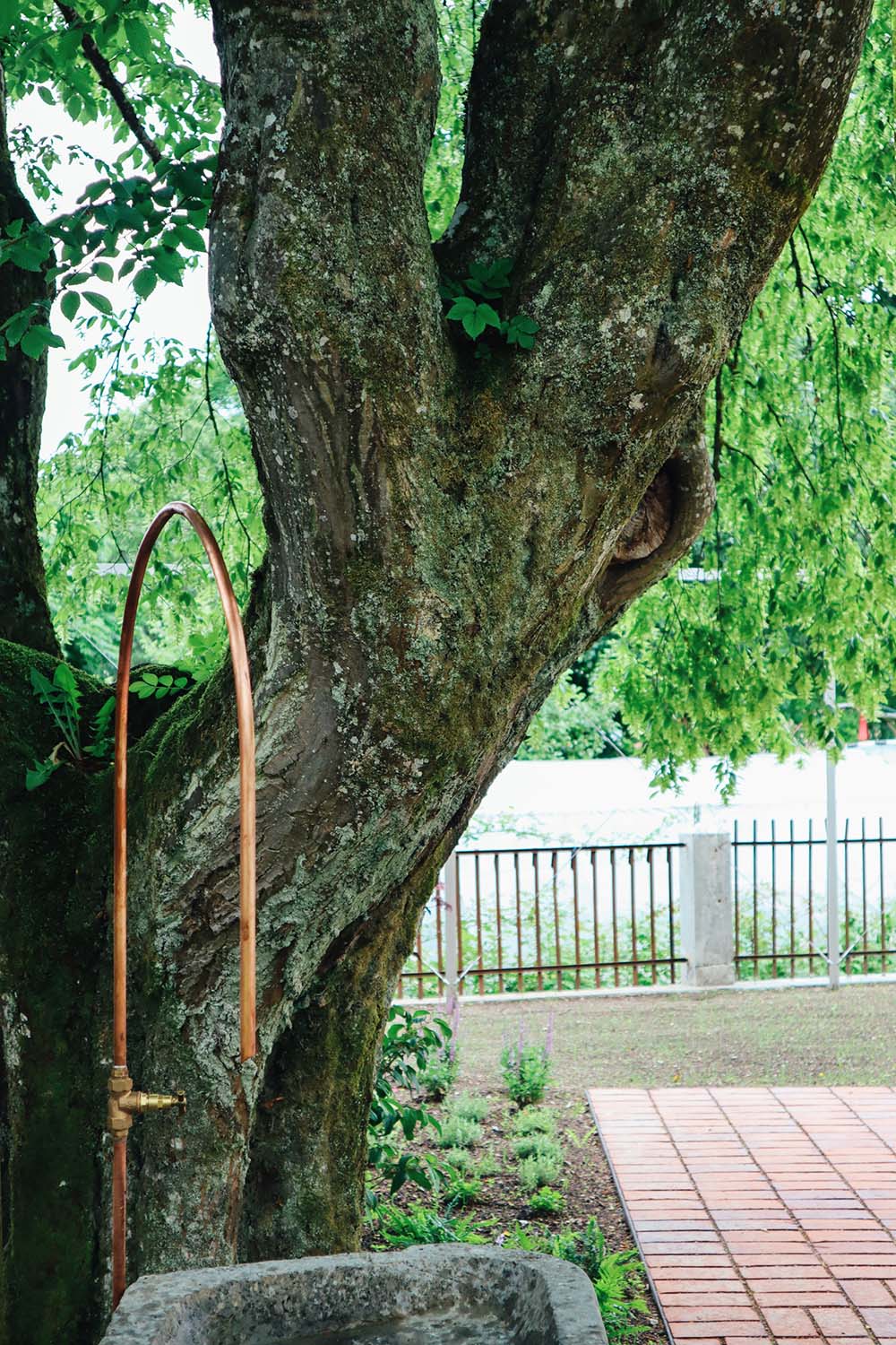 Club Absinthe reuses and reconnects the existing elements of a historic village house (Couvet, 2018-2020)