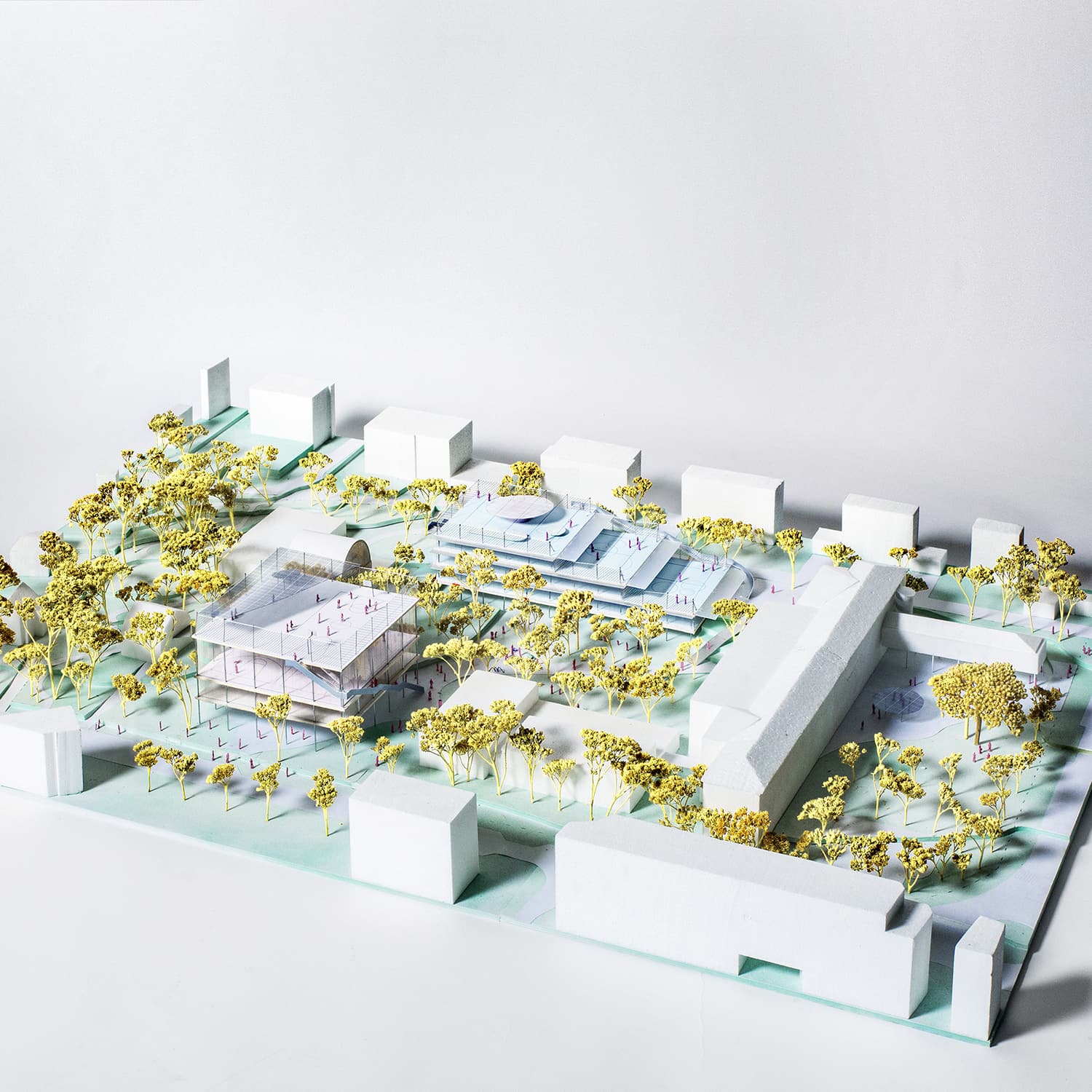 Oasis transforms a school campus within a public park, extending learning into the landscape (Renens, 2022-ongoing)