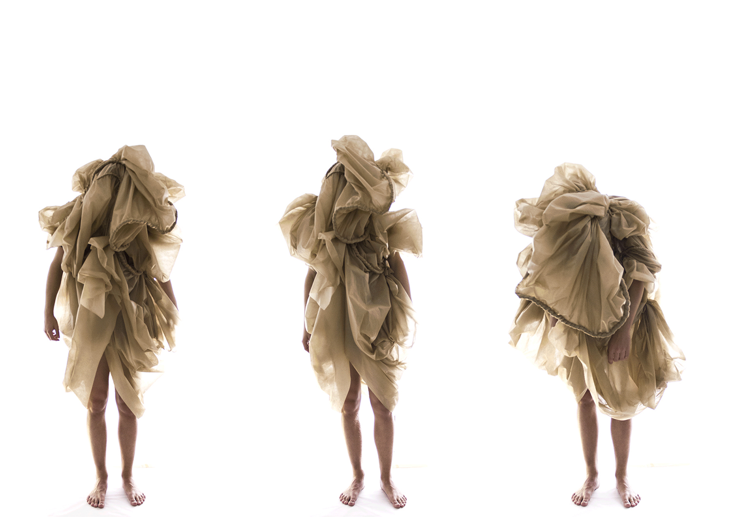 The Turtle is part of the Burda Laboratory