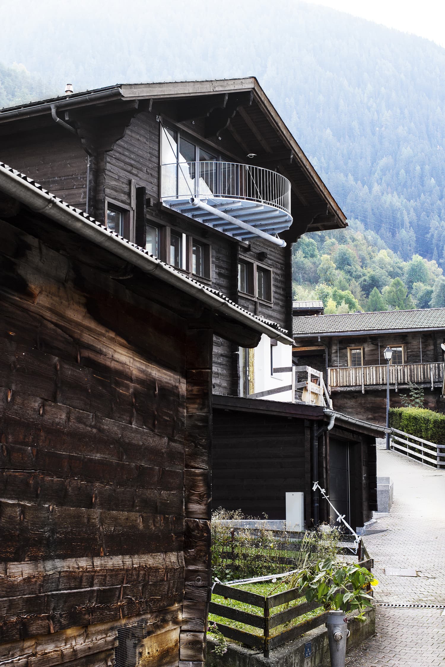 Parasite in the Alpine landscape